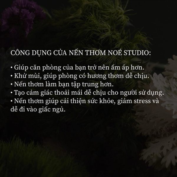 kiotviet_3927e90e3db6cd560fbd596b9f1c1156